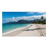 Sharp PN-UN553V, 139,7 cm (55"), LCD, 1920 x 1080 Pixel