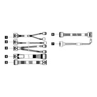 Lenovo Speicherkabelkit - für 2,5" Chassis