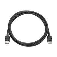 HP  DisplayPort-Kabel - DisplayPort (M) zu DisplayPort (M)