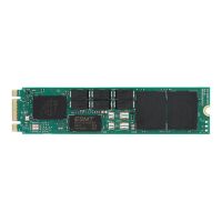 Lenovo ThinkSystem ER3 - SSD - Read Intensive - verschlüsselt - 480 GB - intern - M.2 2280 - SATA 6Gb/s - TCG Enterprise, Self-Encrypting Drive (SED)