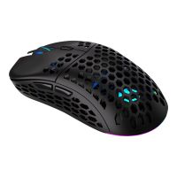 ENDORFY LIX - Maus - optisch - 6 Tasten - kabellos - 2.4 GHz - kabelloser Empfänger (USB)