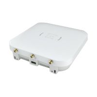 Extreme Networks ExtremeWireless AP310E - Accesspoint