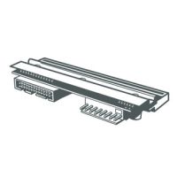 Zebra Druckkopf (Thermodirektdruck) (Packung