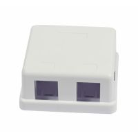 Synergy 21 S216348, 2 x RJ-45, 1 Modul(e), Weiß, Kunststoff, Matt, Universal