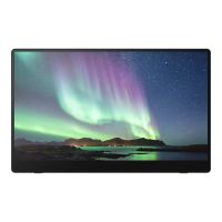 Ricoh 150 - OLED-Monitor - 39.6 cm (15.6") - tragbar - Touchscreen - 1920 x 1080 Full HD (1080p)