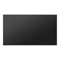 Hisense 75DM66D - 190 cm (75") Diagonalklasse DM Series LCD-Display mit LED-Hintergrundbeleuchtung - Digital Signage - Android - 4K UHD (2160p)