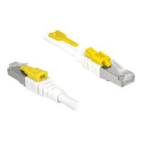Delock Secure - Patch-Kabel - RJ-45 (M) zu RJ-45 (M)