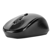 Targus Maus - rechts- und linkshändig - optisch - kabellos - 2.4 GHz - kabelloser Empfänger (USB)