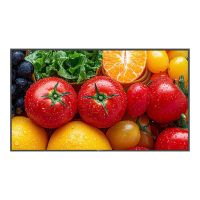 AG Neovo QM5503 - 140 cm (55") Diagonalklasse (138.7 cm (54.6")