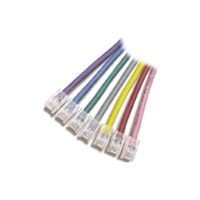 APC Patch-Kabel - RJ-45 (M) zu RJ-45 (M) - 30.5 m