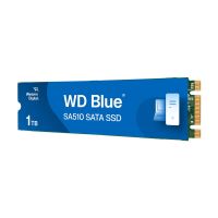 WD Blue SA510 WDS100T3B0B-00AXS0 - SSD - 1 TB