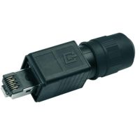 Telegärtner Karl Gärtner Telegärtner J80026A0015, RJ45, Schwarz