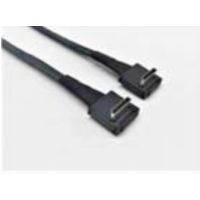 Intel OCuLink Cable Kit AXXCBL620CRCR - Internes SAS-Kabel - 4i MiniLink SAS (SFF-8611)