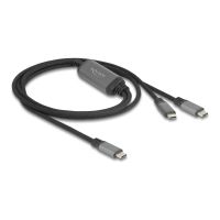 Delock USB-Kabel - 24 pin USB-C (M) zu 24 pin USB-C (M)