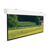 Projecta Elpro Large Electrol Wide Format - Leinwand - Deckenmontage möglich - motorisiert - 460 cm (181")