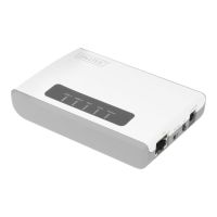 DIGITUS 2-Port USB 2.0 Wireless Multifunktions-Netzwerk Server, 300 Mbps