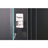 DIGITUS Wandgehäuse Dynamic-N Serie - 600x600 mm (BxT), unmontiert