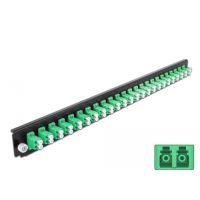 Delock Rack-Montageblech für Glasfaser-Spleißbox - Vorderseite - LC SM X 24 - grün - 1U - 48.3 cm (19")