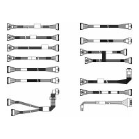Lenovo Speicherkabelkit - für 2,5" Chassis-Front BP1 NVMe