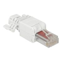 Delock Netzwerkanschluss - RJ-45 (M) - UTP - CAT 6 - (Anzahl pro Packung: 2)