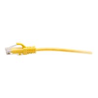 C2G 10ft (3m) Cat6a Snagless Unshielded (UTP)