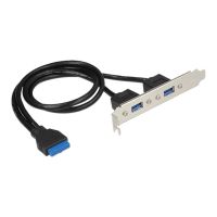 Delock Slot bracket - USB-Konsole - USB Typ A (W)