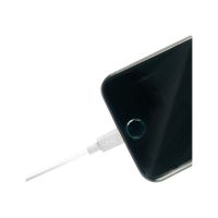 Lindy Lightning-Kabel - Lightning (M) bis USB (M)