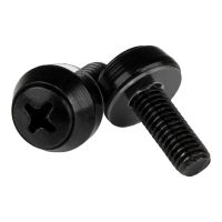 StarTech.com M6 x 12mm - Montageschrauben - 50er Pack - M6 Schrauben für Server Rack und Serverschrank - Schrauben-Kit - Schwarz (Packung mit 50)