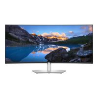 Dell UltraSharp U4021QW - LED-Monitor - gebogen - 100.8 cm (39.7")