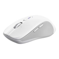 Trust Ferro - Maus - Hyperscroll, Multi-Gerät - Für Rechtshänder - optisch - 9 Tasten - kabellos - 2.4 GHz, Bluetooth - kabelloser Empfänger (USB)