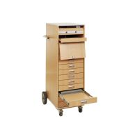 Medium ALSO EduCenter 13 - Wagen (nur Laden) - für 13 Notebooks / Projektor / 19" Netzwerk-Switch - verriegelbar - Holz - Bildschirmgröße: bis zu 43,9 cm (bis zu 17,3")