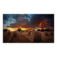 Samsung VM55B-U - 140 cm (55") Diagonalklasse VMB-U Series LCD-Display mit LED-Hintergrundbeleuchtung