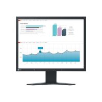 EIZO FlexScan S2133-BK - LED-Monitor - 54 cm (21.3")