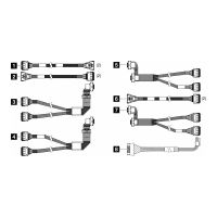 Lenovo Speicherkabelkit - für 2,5" Chassis