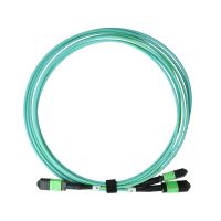 BlueOptics NVIDIA MFP7E00-C003 MPO-2xMPO Multi-mode OM3 Patchkabel 3 Meter