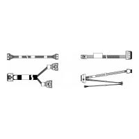 Lenovo Speicherkabelkit