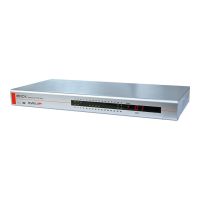 Lindy KVM Switch CAT-32 IP - KVM-Switch - CAT5