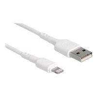 Delock Lightning-Kabel - USB männlich zu Lightning männlich