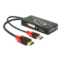 Delock Videokonverter - HDMI - DVI, DisplayPort, VGA