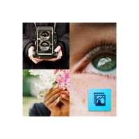 Adobe Photoshop Elements - Upgrade-Plan (Verlängerung)