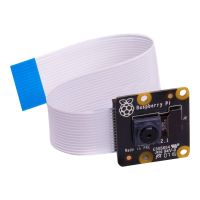 Raspberry Pi Pi NoIR (Infrared Camera Module v2)