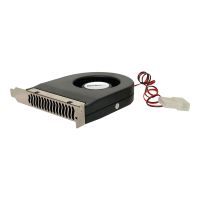 StarTech.com Interner Slotblech Gehäuselüfter mit 4-Pin LP4-Molex