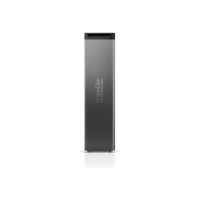 SANDISK PROFESSIONAL PRO-BLADE SSD Mag - SSD - 2 TB - extern (tragbar)