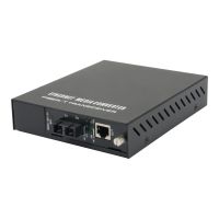 LevelOne GVM-1101 - Medienkonverter - 100Mb LAN