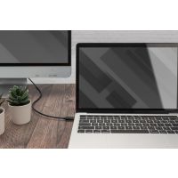 DIGITUS USB Type-C Gen2 Adapter- / Konverterkabel, Type-C auf HDMI A