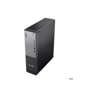 Lenovo ThinkCentre neo 55s Gen 6 13G0 - SFF - Ryzen 7 250 / 3.3 GHz