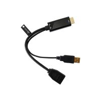 Techly Videokabel - HDMI, USB (nur Strom) männlich zu DisplayPort weiblich