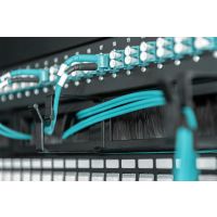DIGITUS Kabelrangierpanel mit Bürstenleisten für 483 mm (19")-Schränke, 1HE