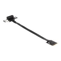 Delock Schnittstellenadapter - PCIe 4.0 x1 (NVMe)