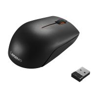 Lenovo 300 Wireless Compact - Maus - 3 Tasten - kabellos - 2.4 GHz - kabelloser Empfänger (USB)